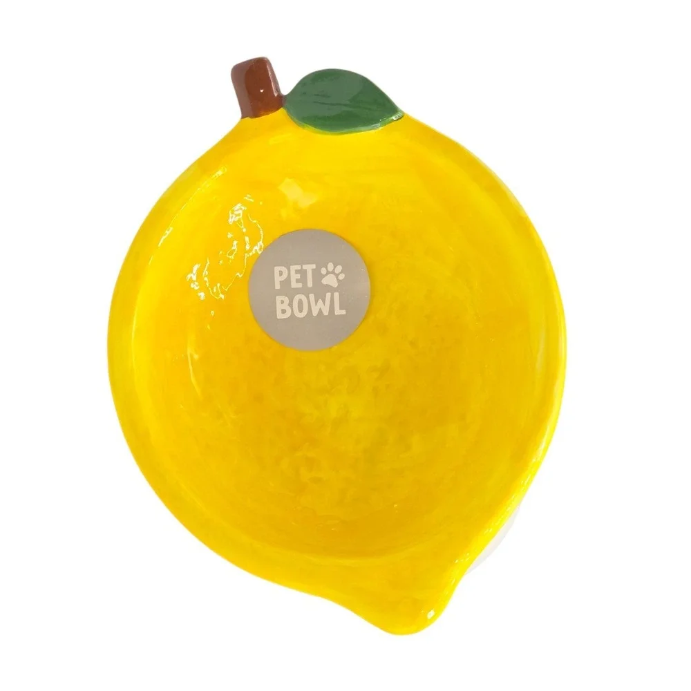Rockybear Pet Tilted And‎ Elevated Cat Drinking Water Bowl Lemon Pattern 6